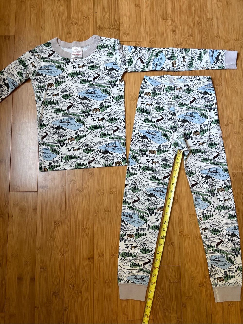 Hanna Andersson Pajamas in Organic Cotton